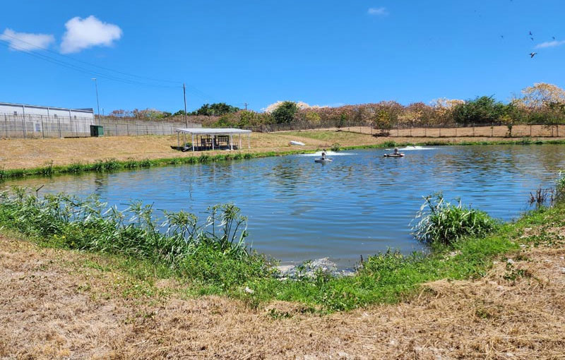 Government of Barbados – HMS Dodds Prison – Effluent Waste Water Effluent Sampling Programme.